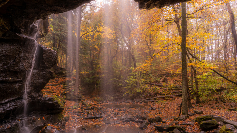View of the fall foliage from behind Dundee Falls