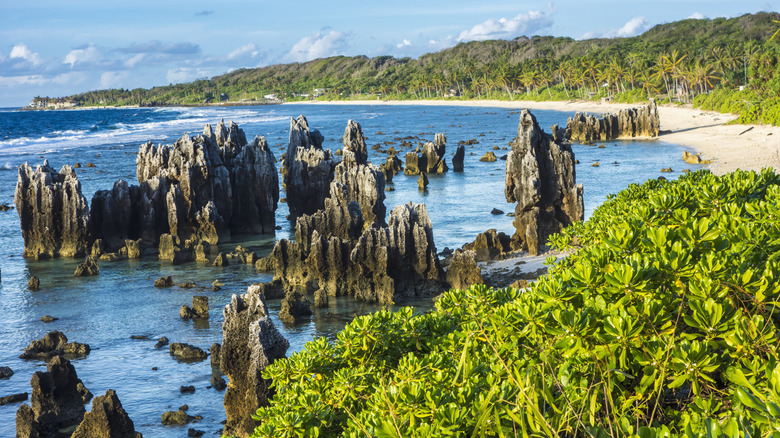 Nauru beach with white sand and unique rock formations