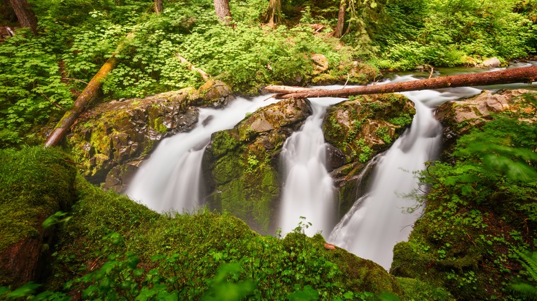 Sol Duc Falls in Olympic National Park, Washington, USA.