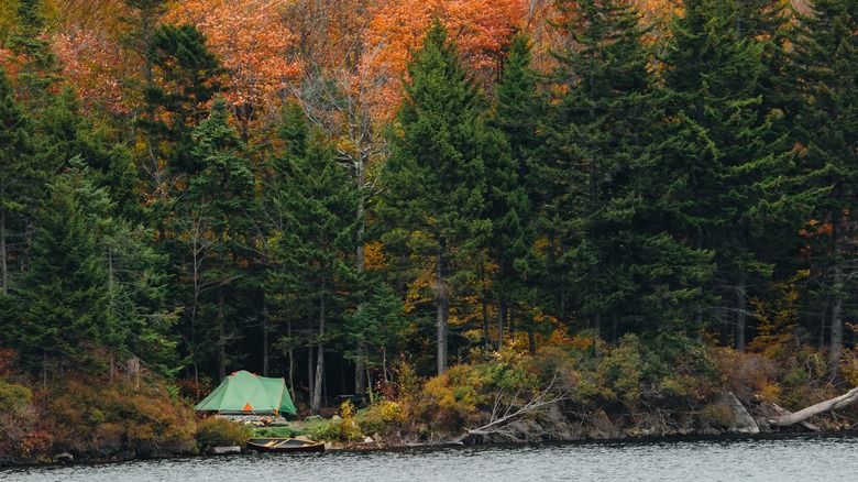 Camping in Vermont's Green Mountains