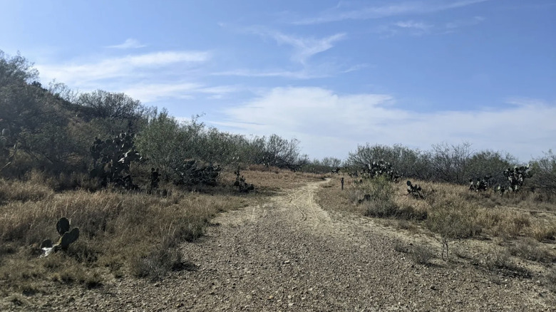 a desertlike terrain on the trail winding through Lake Casa Blanca International State Park, Texas