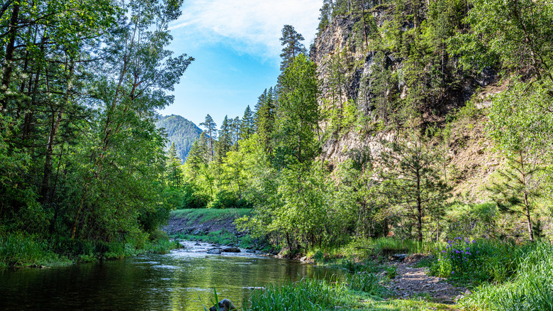 The breathtaking view from within Spearfish Canyon, in the clean air state of South Dakota.
