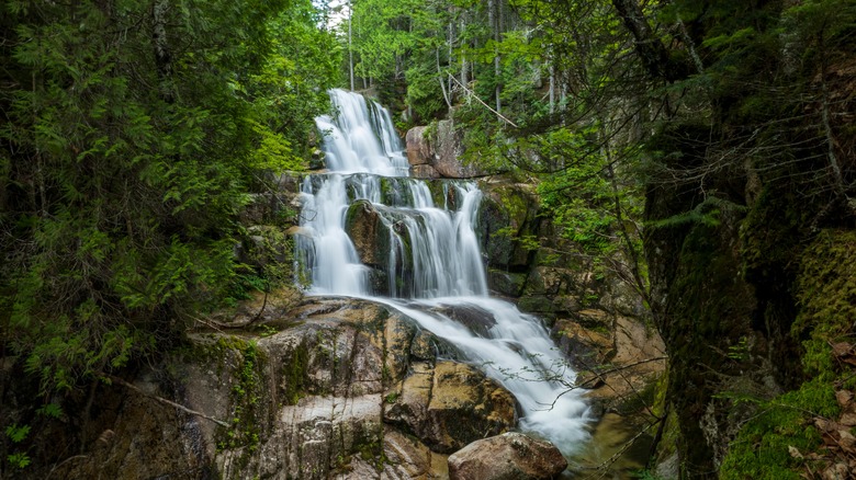 Waterfalls within Baxter State Park and Katahdin Stream Falls in Maine