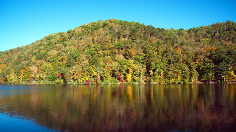 Fall foliage at Hungry Mother State Park, a stop along the Back of the Dragon in Marion, Virginia