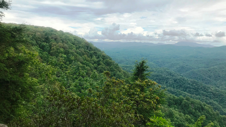 Expansive views of nature along the Back of the Dragon in Virginia