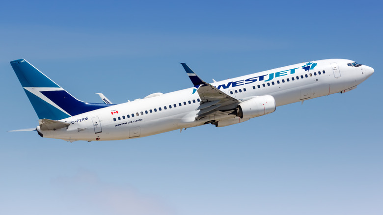 A WestJet Boeing 737-800 passenger jet in the sky