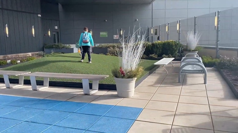 The T5 Rooftop Lounge at JFK with the Wooftop Dog Park