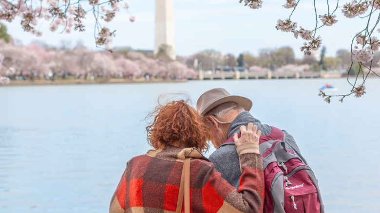 An elderly couple among cherry blossoms in Washington, D.C.