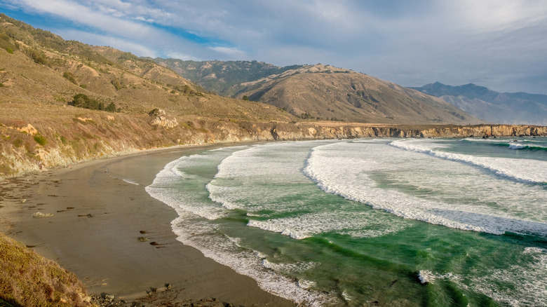 Sand Dollar Beach 