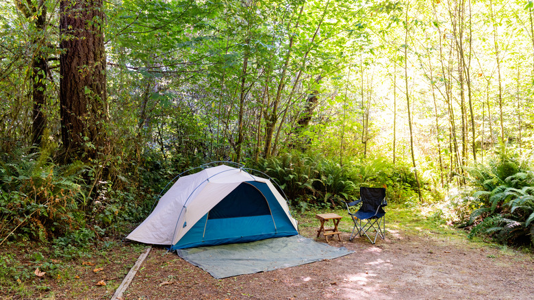 campsite