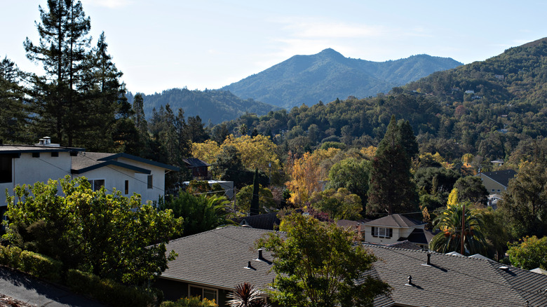 Mountains and forest behind roofs in San Anselmo, CA