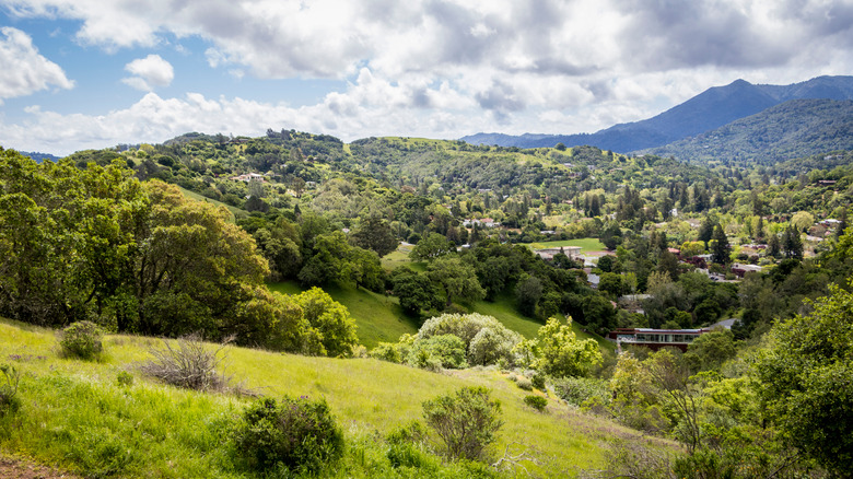 view of rolling hills from San Anselmo ridge