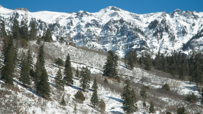 A mountain range near Ouray, Colorado with snow dusting the mountains and nearby trees