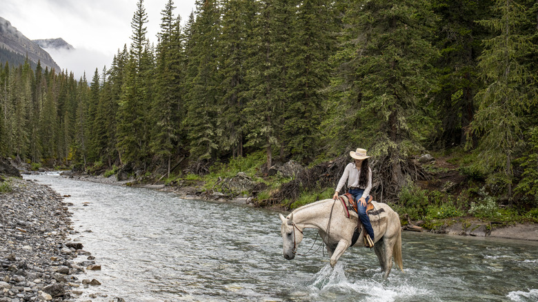 Woman crosses a river on horseback in the Rockies in Alberta, Canada