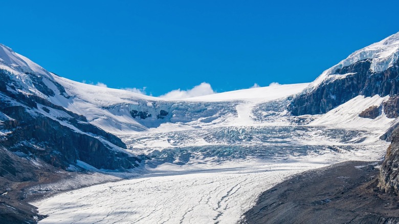 Athabasca Glacier at Jasper National Park in Alberta, Canada