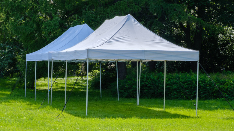Two white canopy tents set up outside