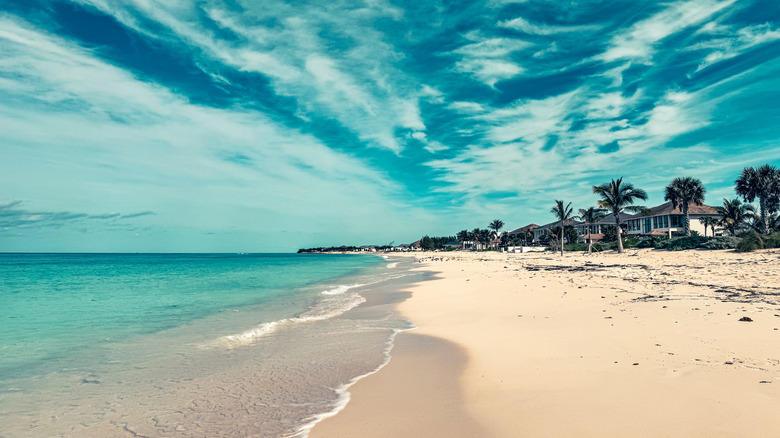 Exquisite shades of aqua sky over a sandy beach dotted with palm trees and small waves creeping onto the shore