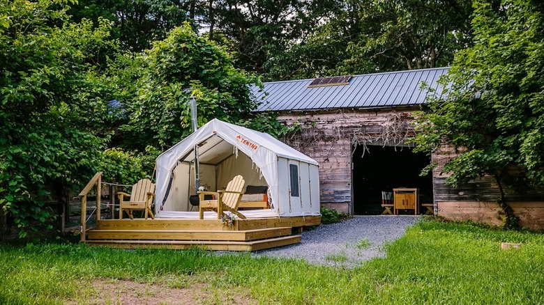 Camp site at Old Game Farm.