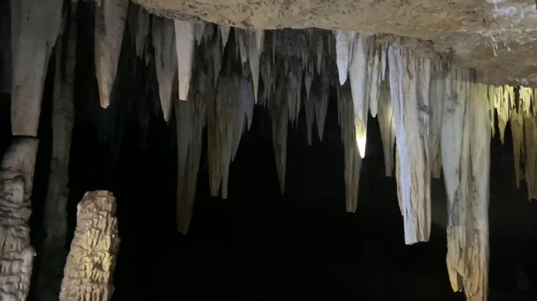 Stalactites hanging from the ceiling of Fisher Cave