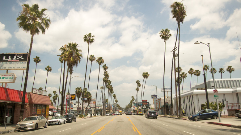 Street view from Washington Blvd in Mid-City, Los Angeles