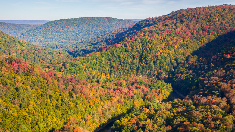 Scenic shot of World's End State Park near Kenmar, Pennsylvania