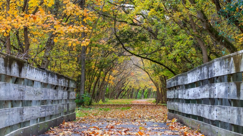 Little Miami Scenic Trail in Loveland, Ohio
