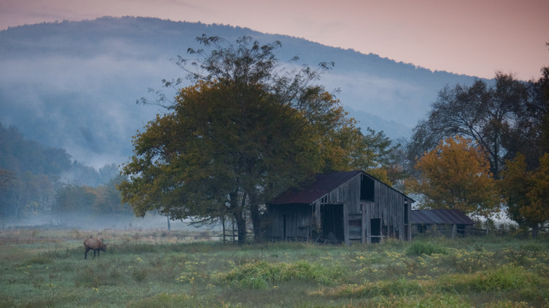 An old cabin in the Boxley Valley, Arkansas with misty mountain.