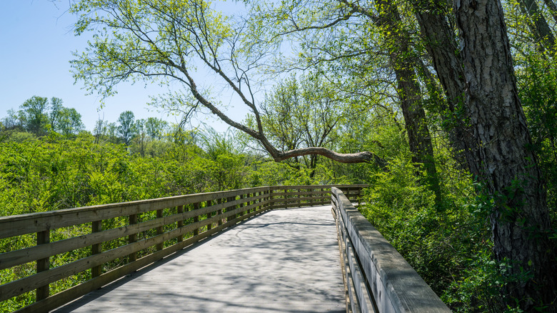 Scenic walk on a sunny day in Roswell, Georgia