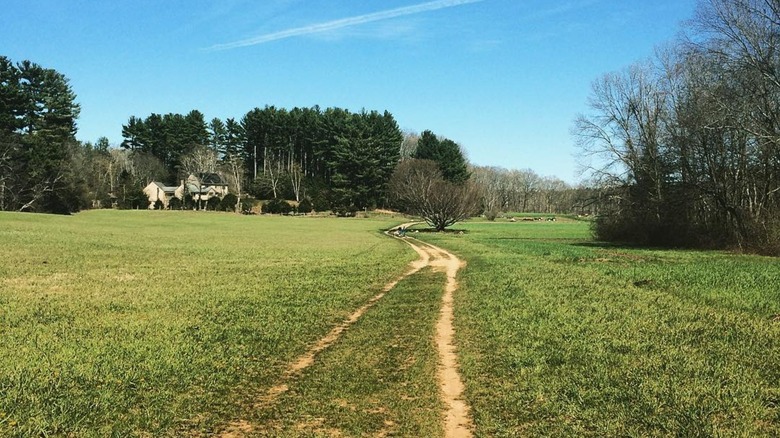 Mount Misery in Lincoln