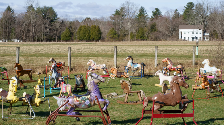 The horses in Ponyhenge