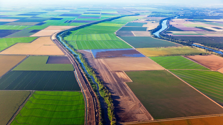 The Sacramento Valley with river winding through green agricultural fields near Colusa, California