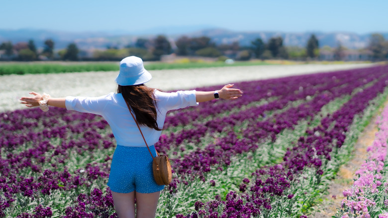 Woman admiring colorful flower fields in Lompoc, California