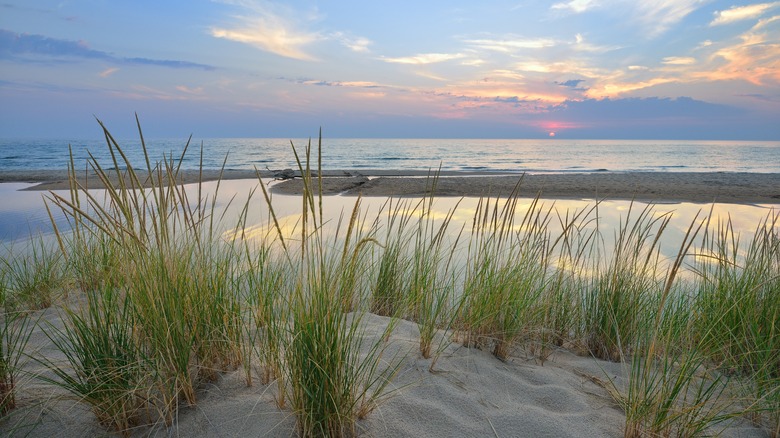 Sunset across beach dunes near Pentwater