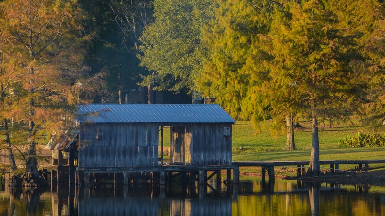 Boat dock at Farmerville, Louisiana