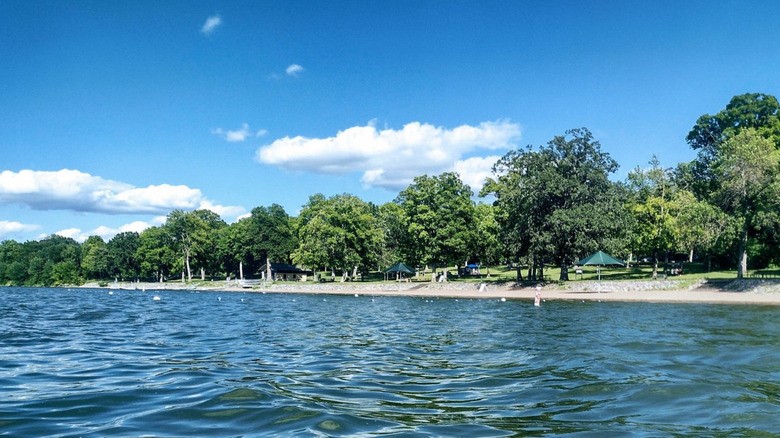 A photo taken from on the lake at Baker Park Reserve, looking towards the shore.