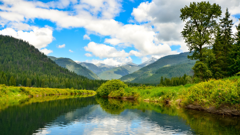 Northwest Montana landscape of mountains and lake in summer.