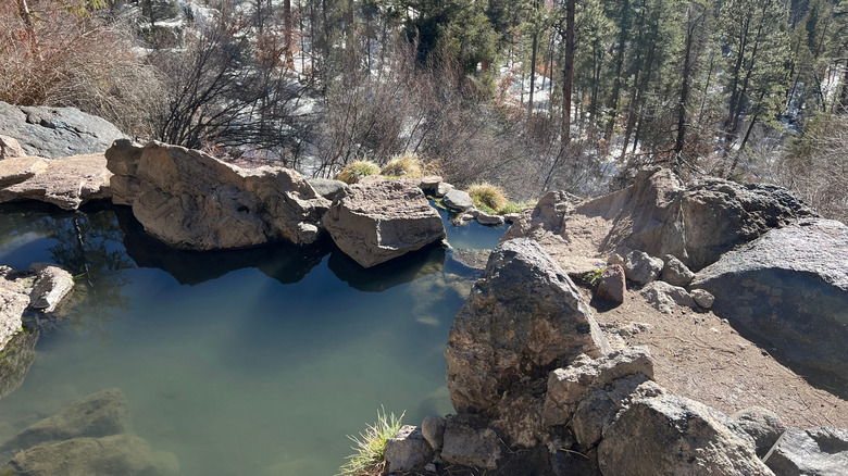 McCauley natural pools