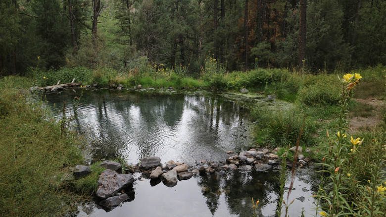 Natural spring near Jemez Springs