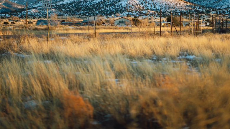 Snow-covered mountain in Magdalena, New Mexico