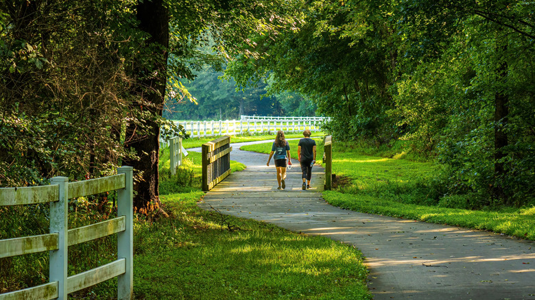people walking in nature