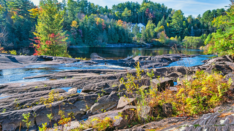 River flowing over dark rocks, surrounded by fall foliage in Bracebridge