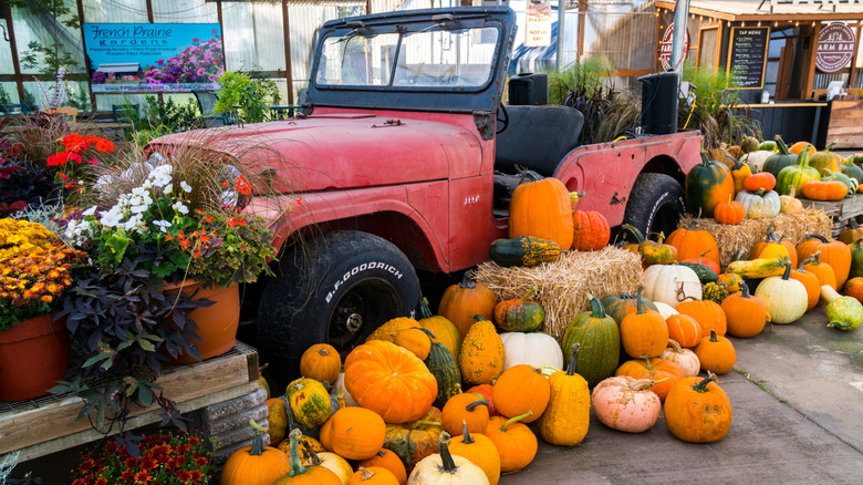 Fall festival at French Prairie Gardens in St. Paul, Oregon