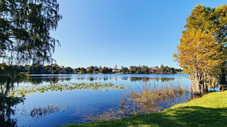 Water and trees with buildings in the far distance
