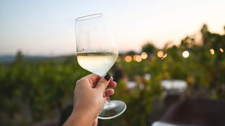Hand holding wine glass in vineyard