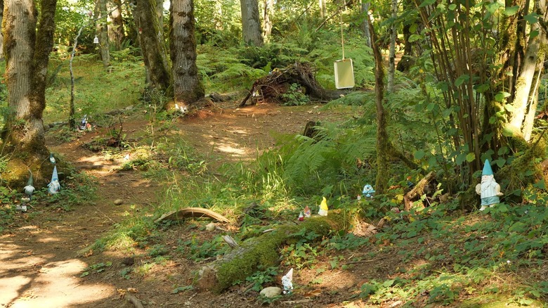 View of the Gnome Trail in Maple Valley, Washington
