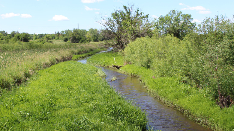 A creek in James "Pate" Philip State Park