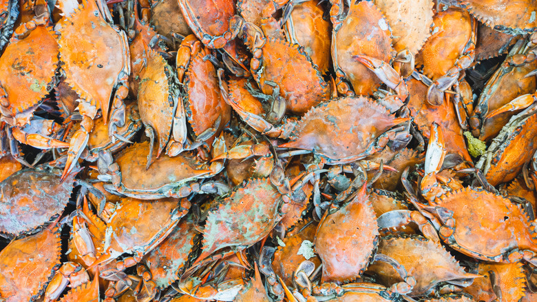 Pile of steamed crabs
