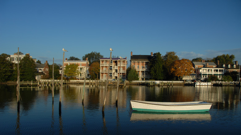 Sunrise over the Chester River