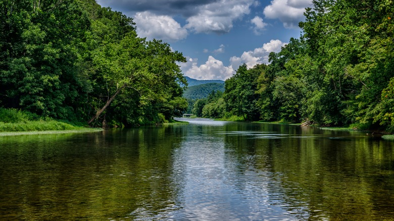 A view of Greenbrier River in Watoga State Park