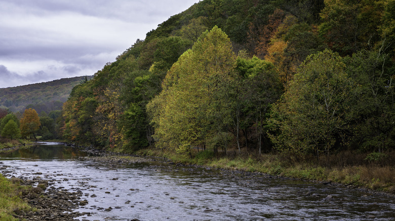 Photo of Greenbrier River in the autumn season